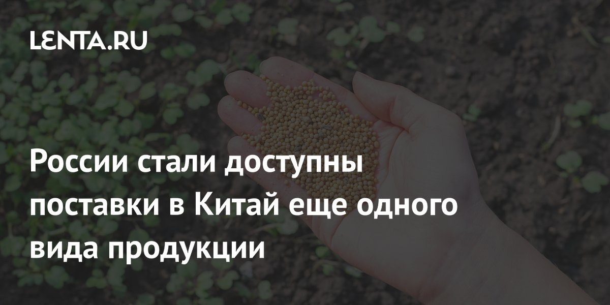 Российская горчица получила доступ на китайский рынок