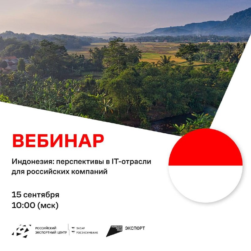 Индонезия открывает двери для российских IT-компаний