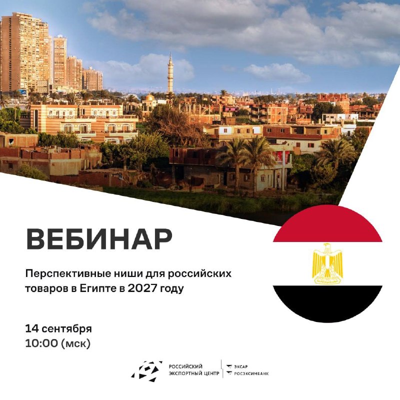 Египет-2027: РЭЦ раскрывает перспективные ниши для российских товаров