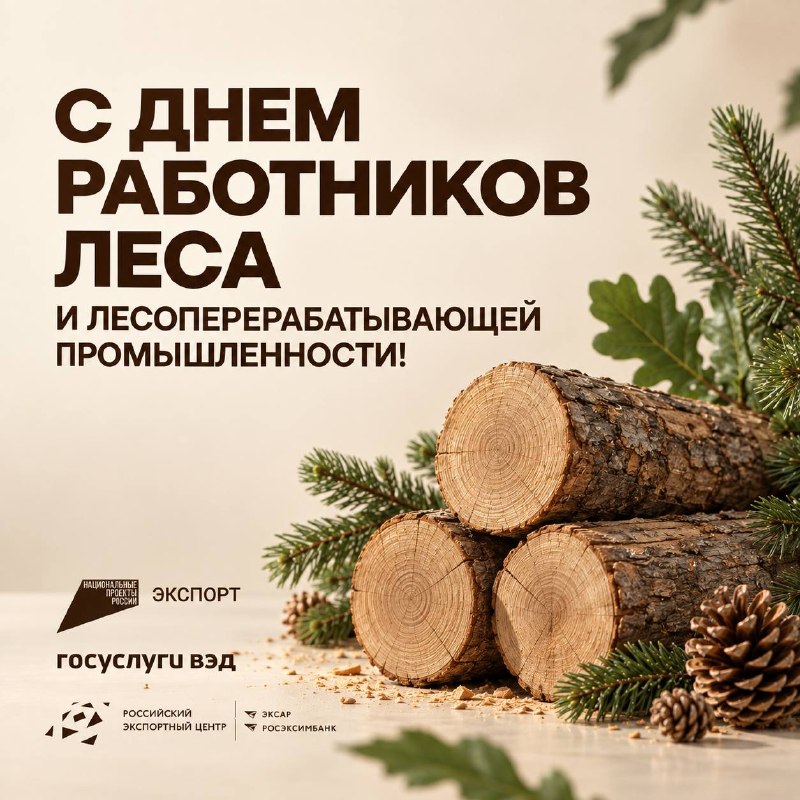 ЛПК России: как экспортёры древесины покоряют мировые рынки