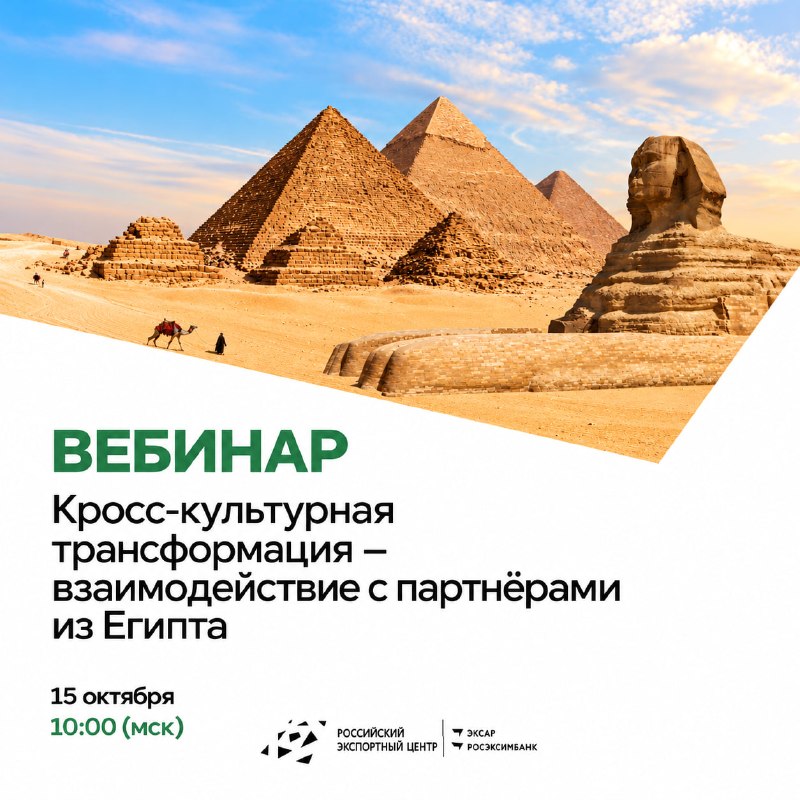 Семинар для экспортеров: как наладить деловые связи с Египтом